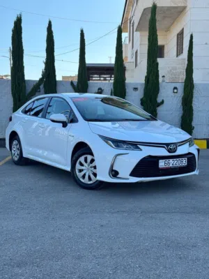Used Toyota Corolla in Amman