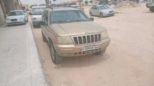 جيب نمر 1999  4×4