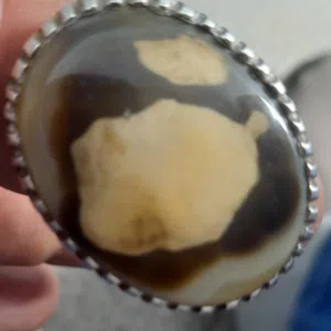حيدر الكناني