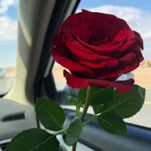 عبدالله السناني 