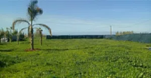Terrain 2500m2 zone industrielle IN2 a  Skhirat.