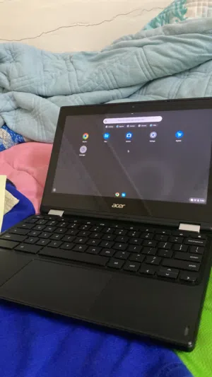 Chrome book
