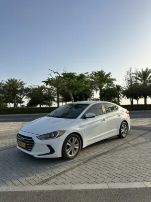 Used Hyundai Elantra in Muscat