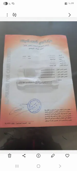 Used Honda Civic in Amman