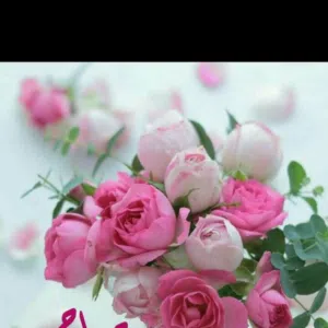 ابوجراح 