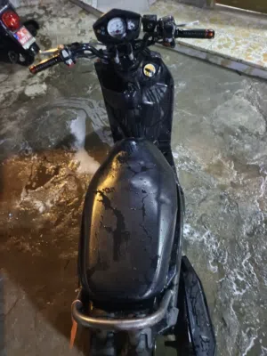 سكنس جبلي كفاله عامه