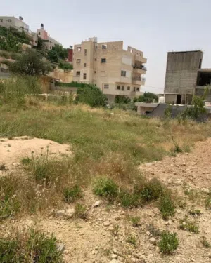 ارض مميزه للبيع في اد الكرم