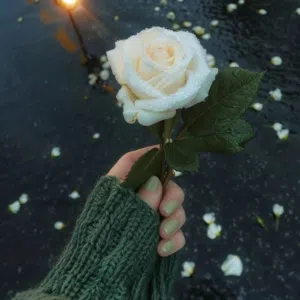 بنتك ياشام ًًًً