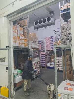 PREMIUM COLD STORAGE FACILITY FOR RENT–AZAIBA FROZEN&CHILLED ROOMS & SHOWROOM (700 SQM) AVAILABLE