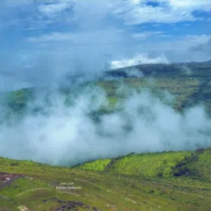 تجارة متنوعة