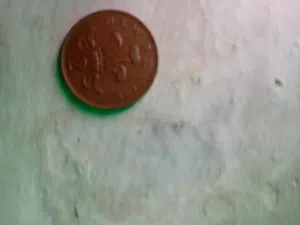 تيوتا كامري