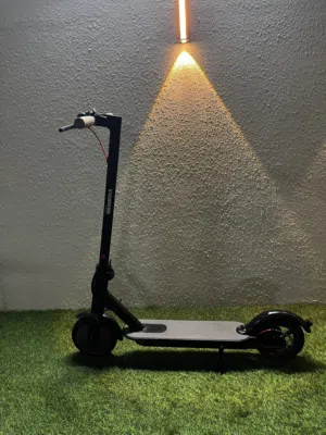سكوتر كهربائي شركة  THUNDER BIRD
