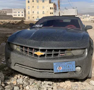 توفيق المرادي 