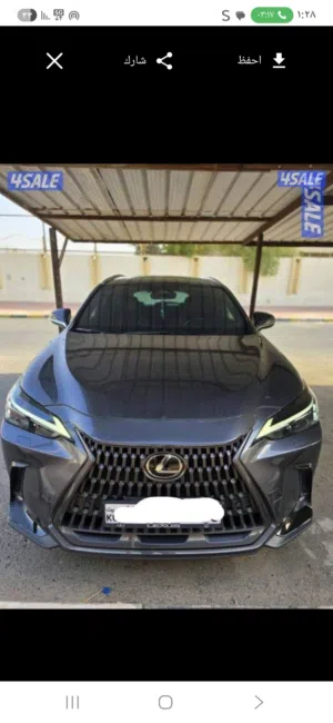 لكزس الساير  NX350  2024 بحالة الوكالة