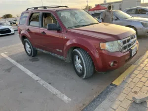 فورد سكيب 2010