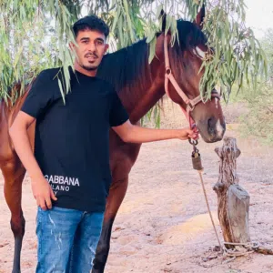 فراس الشـطي 