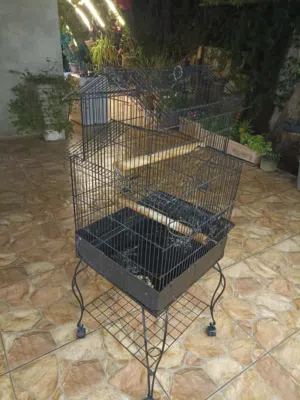 قفص ببغاء للبيع
