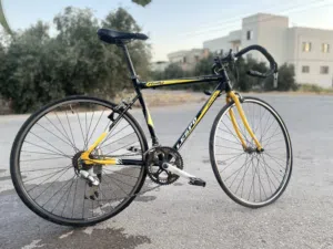 بسكليت وارد أوروبا اصلي