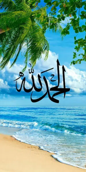 عبد الرحمن الشريف 