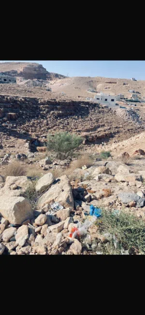 Mixed Use Land for Sale in Zarqa Birayn