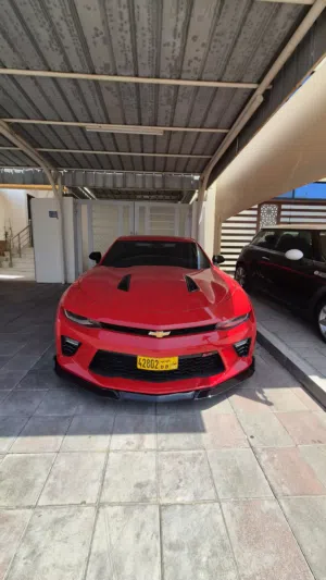 Used Chevrolet Camaro in Muscat