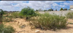 Residential Land for Sale in Tripoli Gasr Garabulli