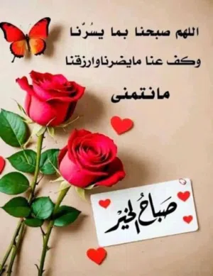 ارض للبيع واجهه 5 نزال 30 حي الجامعه