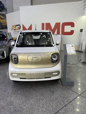بيستون MINI EV زيرو ضمان شركة الصادق نقد او اقساط