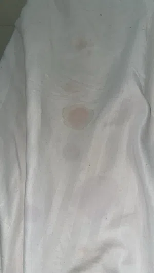 قطوتي تجهض الآن