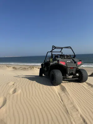 Polaris rzr 170