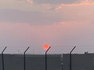 بدوي بنكهه إنجليزيه 