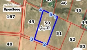 Farm Land for Sale in Amman Al-Quneitirah
