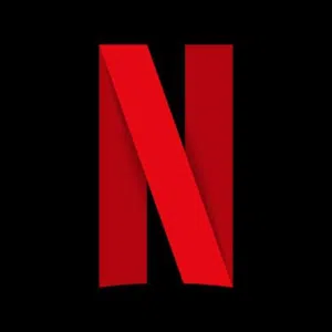 Netflix Subscriptions