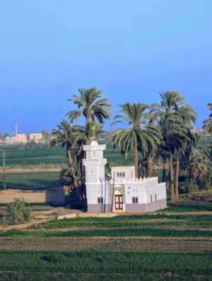 الحمد للاستثمار الزرعي 