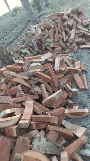 جميع انواع حطب ناشف وقص الشجار