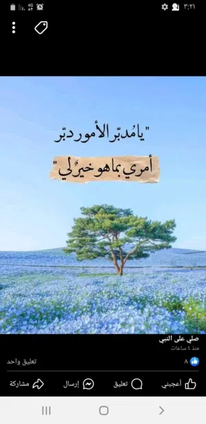محمود فاتح المصراتى 