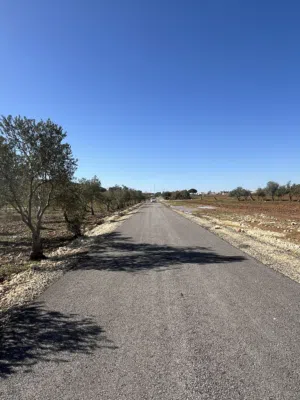 Residential . 1000 m2 . Landlord4