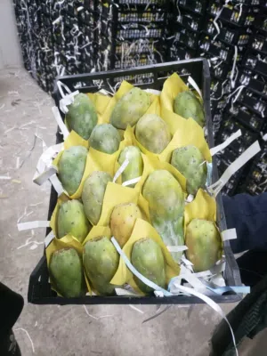 تين شكوي يمني صافي من الشوك درجه اولى  Yemeni figs, pure and thornless, first grade