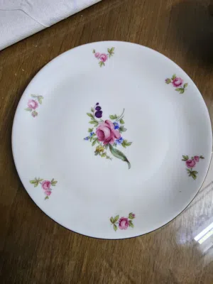 طقم صيني تشيكي اصلي