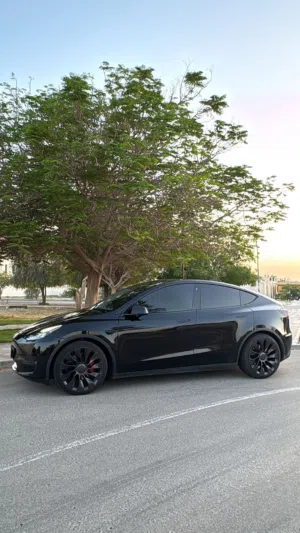 Used Tesla Model Y in Al Ain