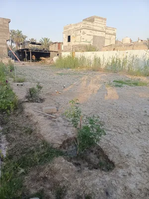 Farm Land for Sale in Basra Amitahiyah