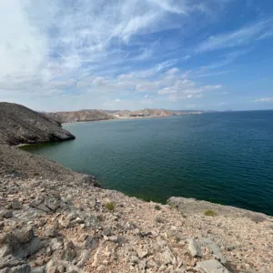 Oman wave 