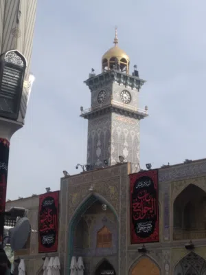 محمدعلي محمد 