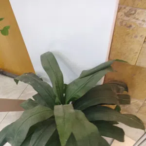وال والعقاري 