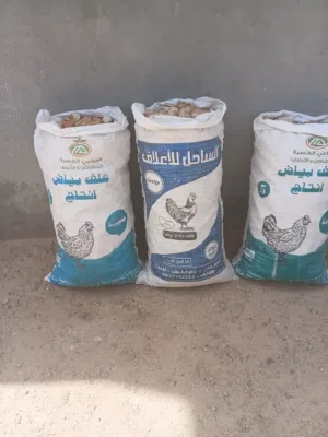 شولات نضيفه