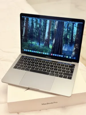 Apple . macOS . 13.3"1