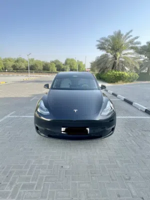 Used Tesla Model Y in Ajman