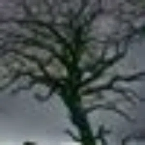 المميز للسيارات salim