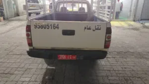 نقل عام بيكب