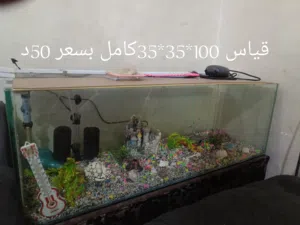 كل حوض عليه سعره